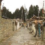 Tserok Tibetan Refugee Camp, built on land given by the gompa, is next door. Established in the late 1950's it has a community restaurant and guesthouse. Their gompa is dedicated to the Dalai Lama. Most of the 200 regiestered residents sell souvenirs in Marpha. The primary school was 25 years old in spring 2014